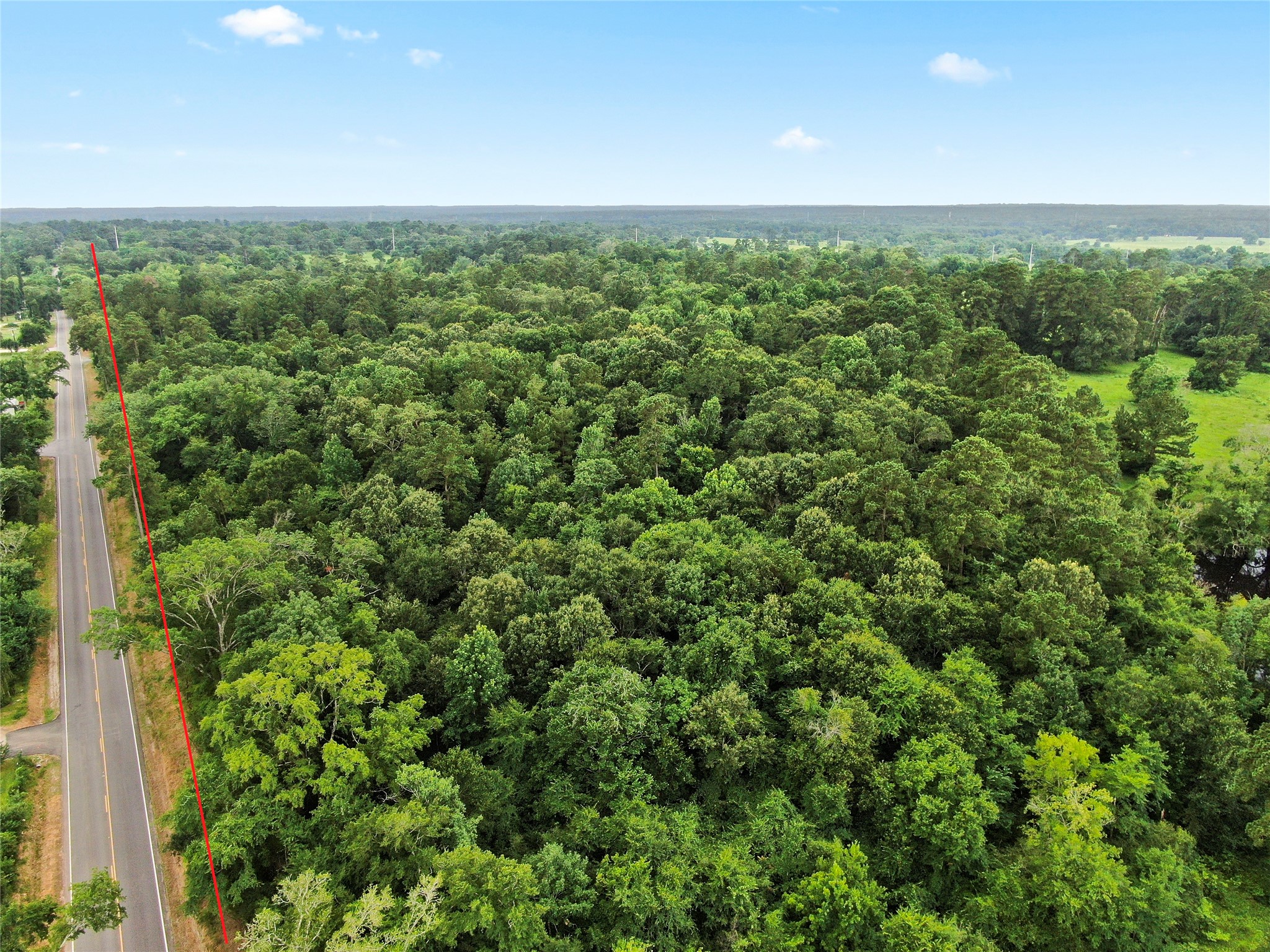 3920 Spring Branch Road Montgomery, TX 77316 - Photo 2 of 35 Spring Branch Road