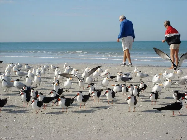 $12,000 | 672 100th Avenue North, Naples, FL 34108