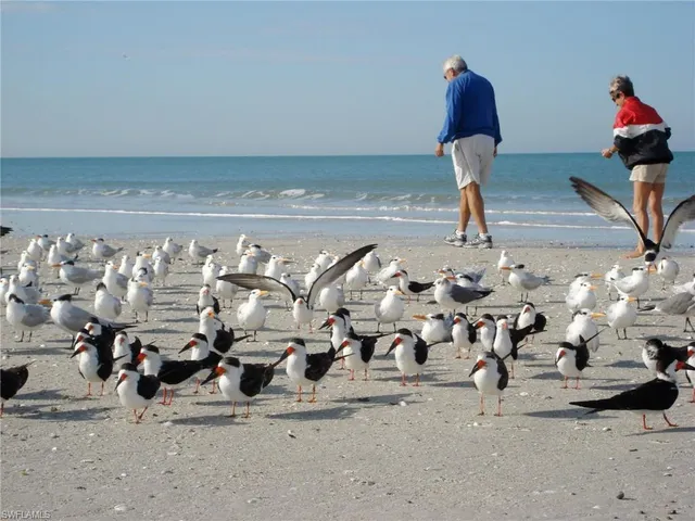 $12,000 | 672 100th Avenue North, Naples, FL 34108