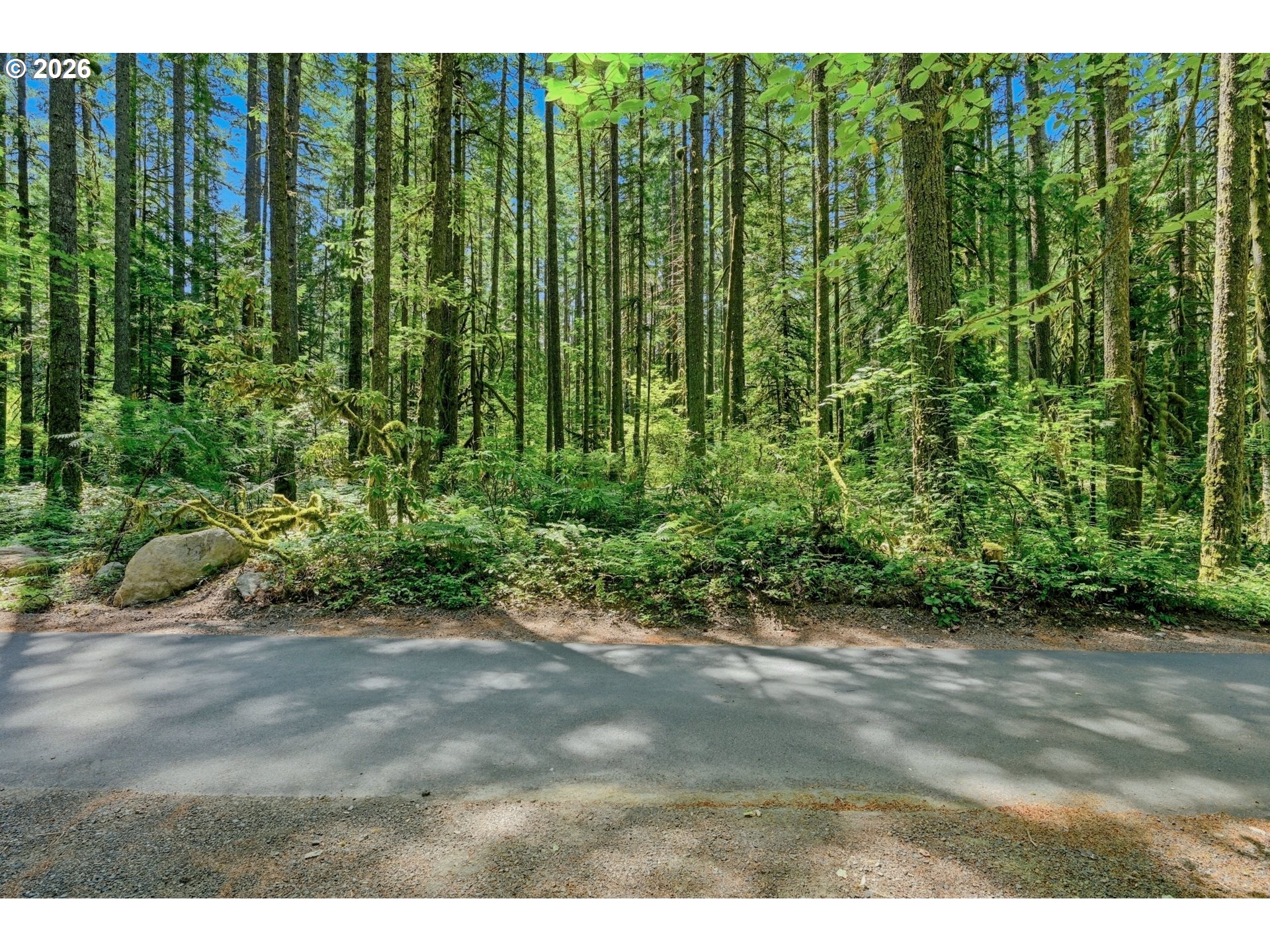East John Lake Road Rhododendron, OR 97049 - Photo 12 of 16