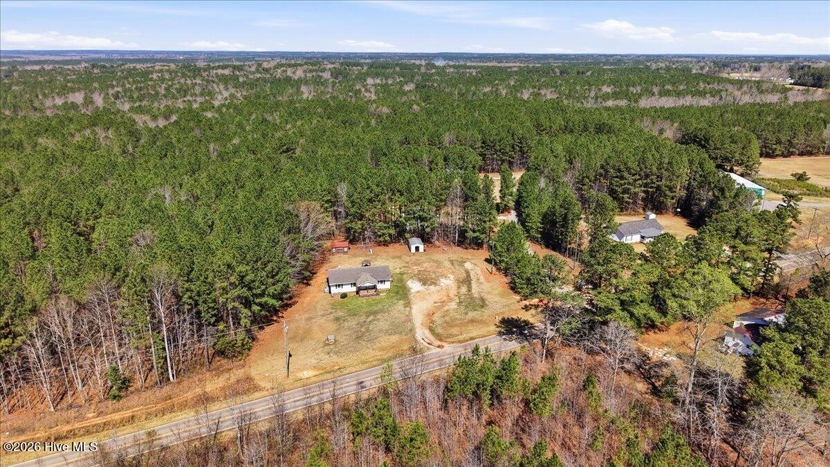 254 Capps Farm Road Hollister, NC 27844 - Photo 10 of 25 Aerial View-1