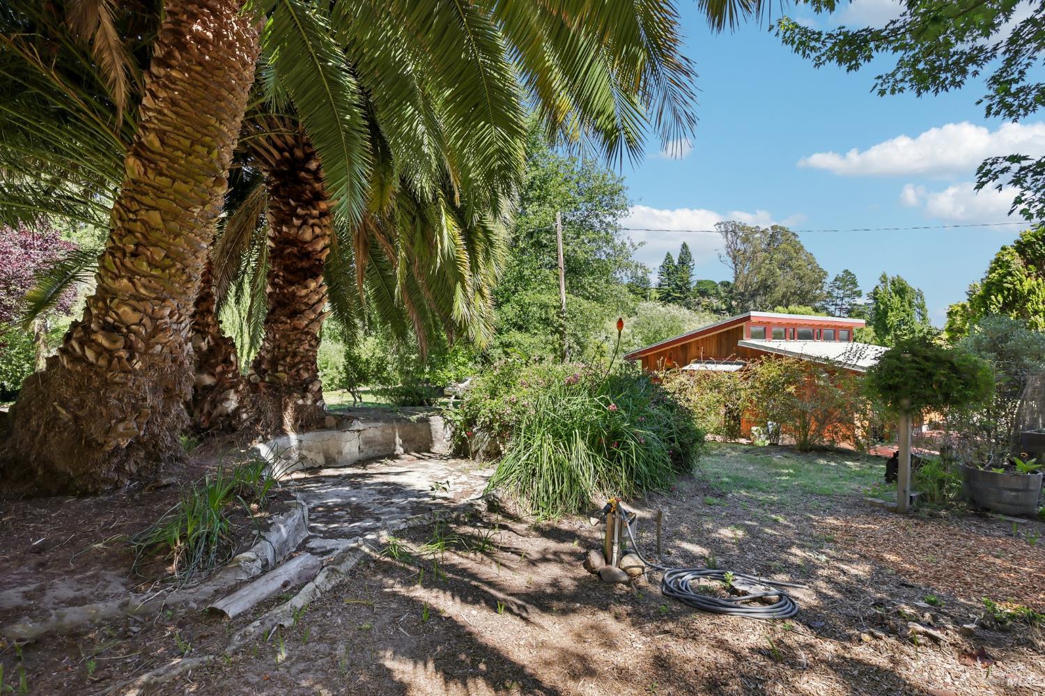 2087 Blucher Valley Road Sebastopol, CA 95472 - Photo 55 of 73