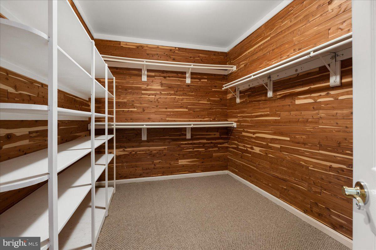 13635 Maidstone Lane Potomac, MD 20854 - Photo 49 of 66 Large cedar closet in lower level