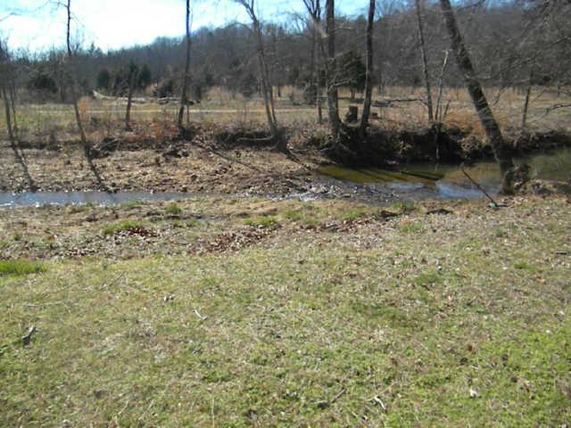 899 Coon Creek Road Dickson, TN 37055 - Photo 5 of 8 Gallery Image 5