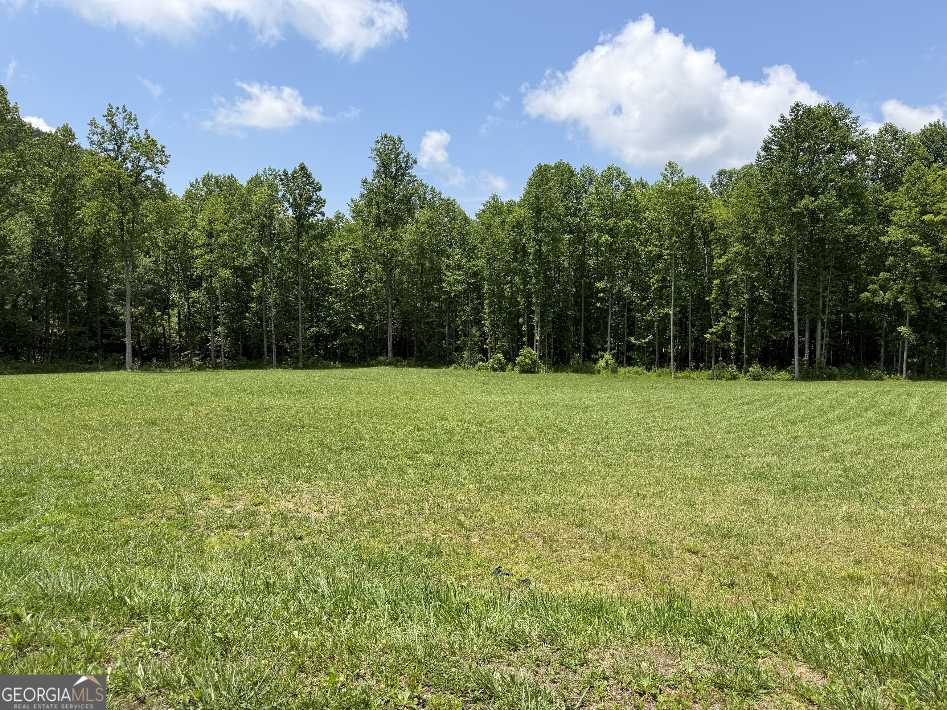 1449 Muskrat Creek Road Hayesville, NC 28904 - Photo 95 of 95