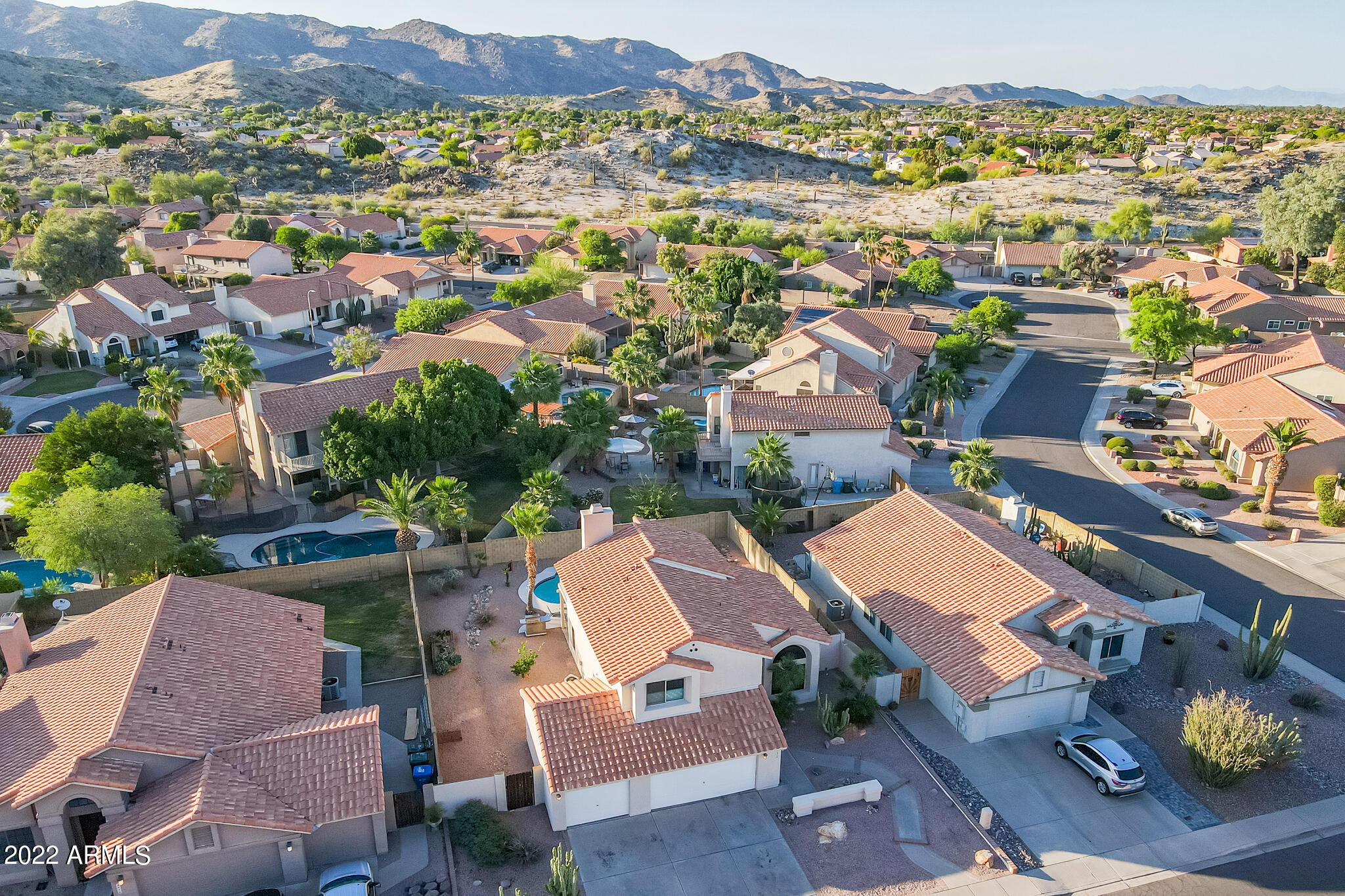 Desert Trumpet - Aerial-2