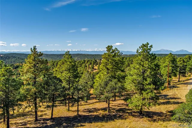 a view of a lake from a yard