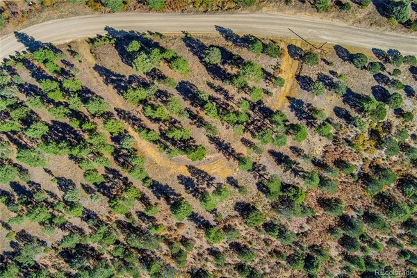 a view of a dry yard