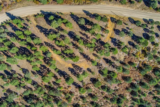 a view of a dry yard