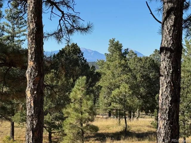a view of a tree in front of a yard