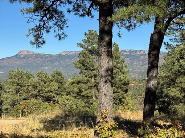 a view of yard covered with snow