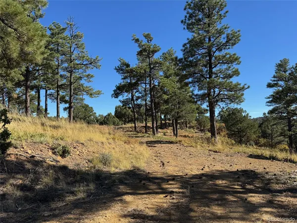 a view of outdoor space with lots of trees