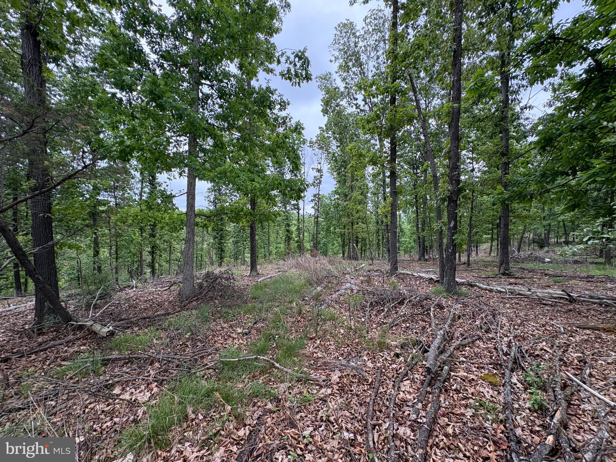 40.15-ac Middle Ridge Road Burlington, WV 26710 - Photo 24 of 47