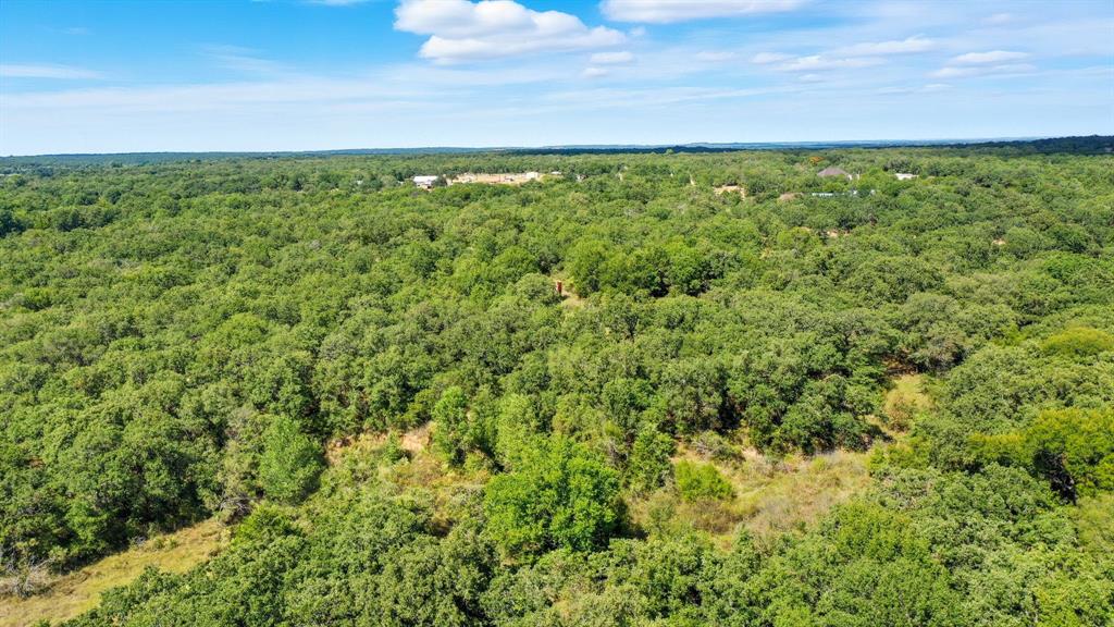 785 Jordan Road Poolville, TX 76487 - Photo 11 of 17 Drone / aerial view of a forest