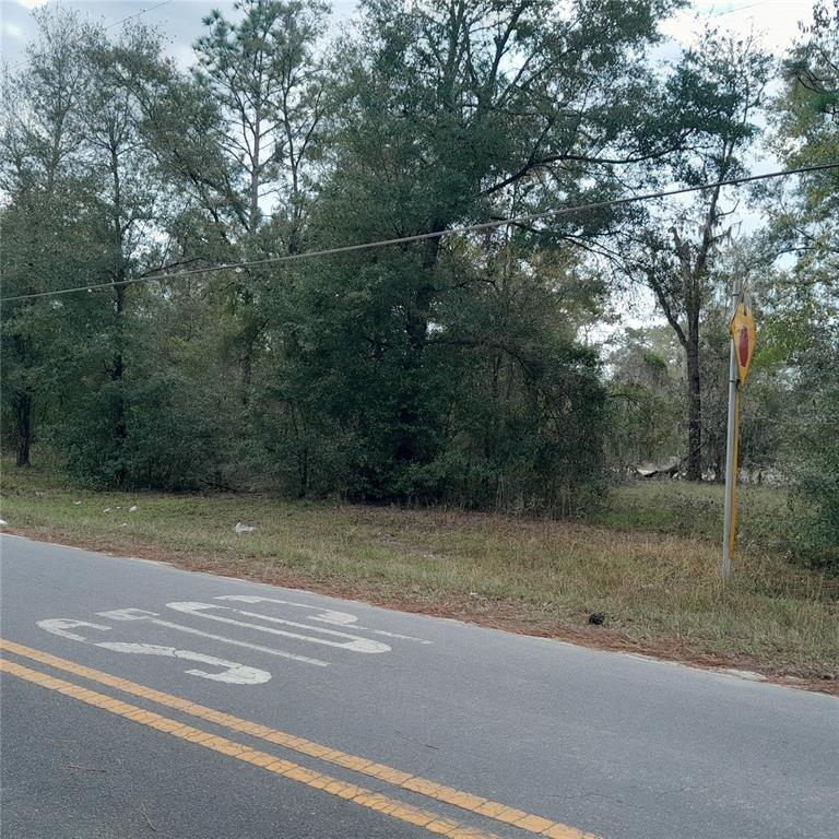 Tbd Northeast 101st Court Bronson, FL 32621 - Photo 4 of 4