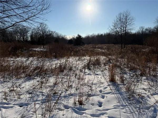 $316,250 | 0 Hoots Chapel Road, Odin, IL 62870