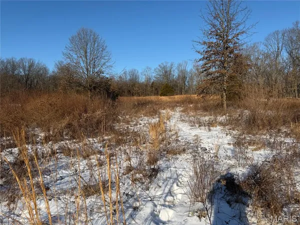 $316,250 | 0 Hoots Chapel Road, Odin, IL 62870