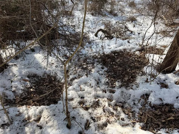 $316,250 | 0 Hoots Chapel Road, Odin, IL 62870