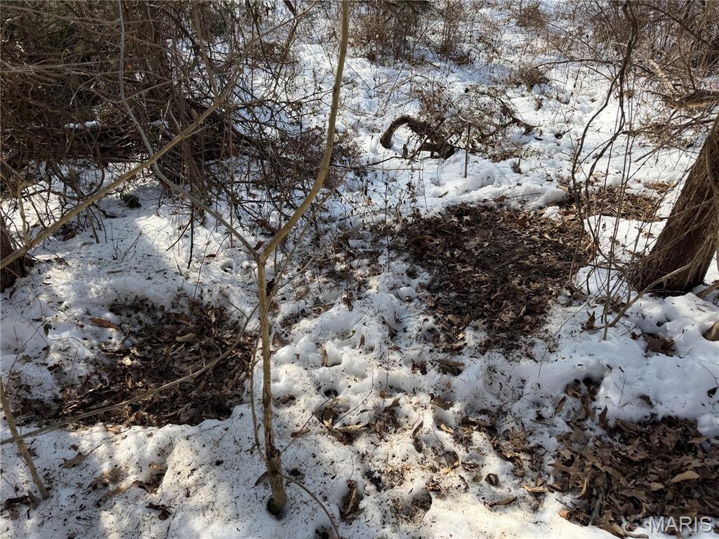 0 Hoots Chapel Road Odin, IL 62870 - Photo 23 of 42