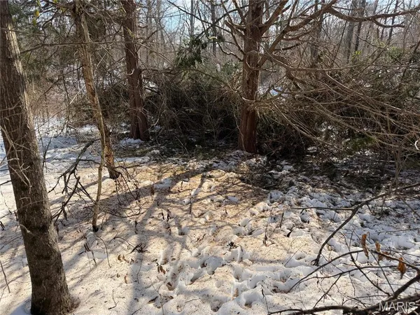 $316,250 | 0 Hoots Chapel Road, Odin, IL 62870