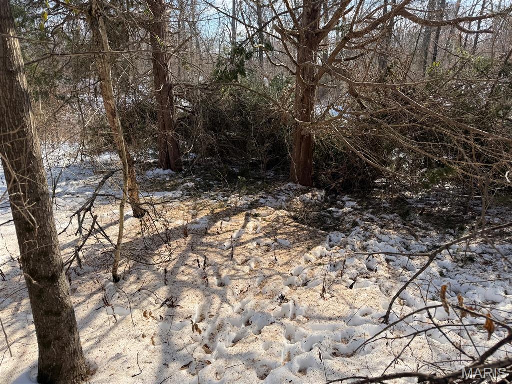 0 Hoots Chapel Road Odin, IL 62870 - Photo 24 of 42