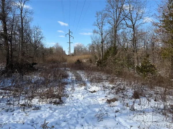 $316,250 | 0 Hoots Chapel Road, Odin, IL 62870