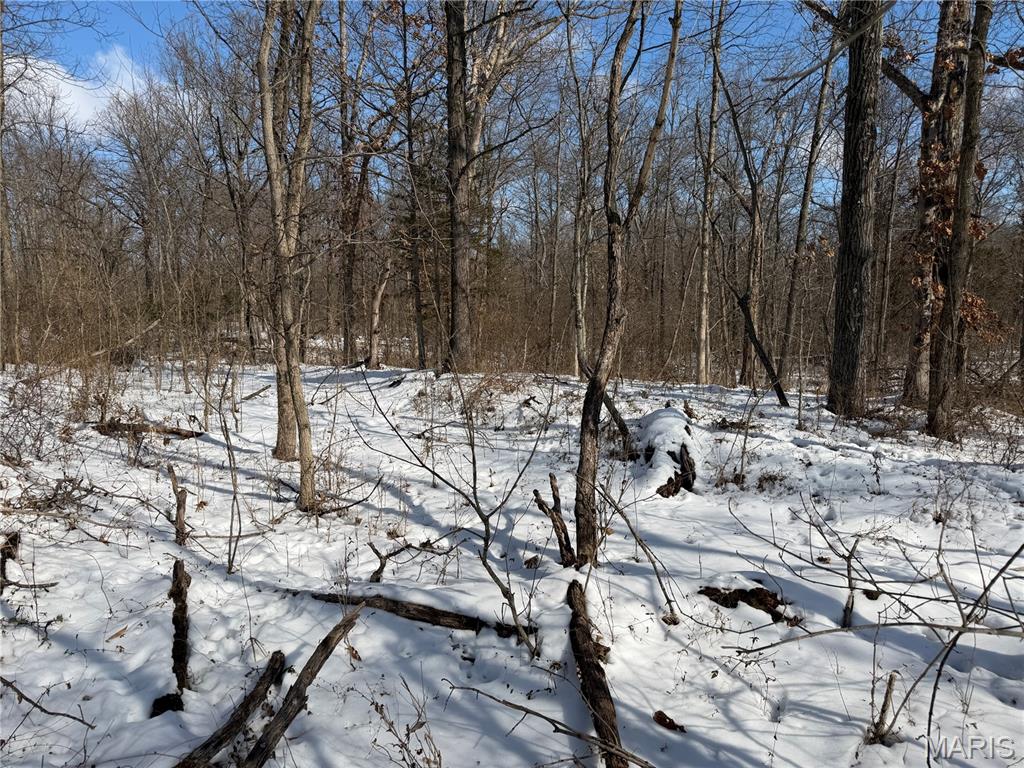 0 Hoots Chapel Road Odin, IL 62870 - Photo 26 of 42