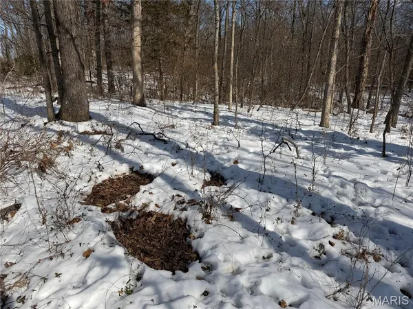 $316,250 | 0 Hoots Chapel Road, Odin, IL 62870