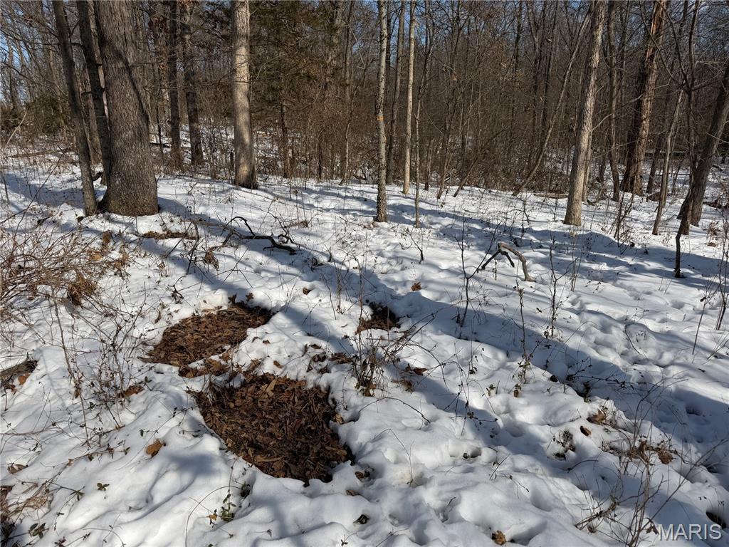 0 Hoots Chapel Road Odin, IL 62870 - Photo 27 of 42