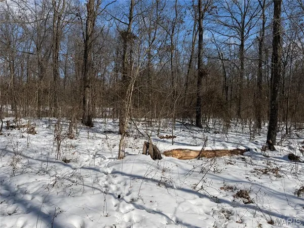 $316,250 | 0 Hoots Chapel Road, Odin, IL 62870