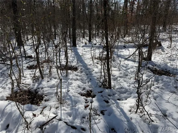 $316,250 | 0 Hoots Chapel Road, Odin, IL 62870