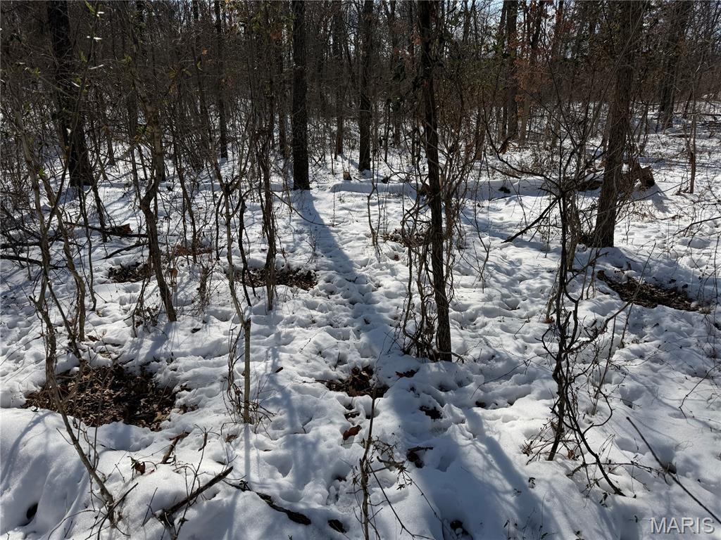 0 Hoots Chapel Road Odin, IL 62870 - Photo 29 of 42