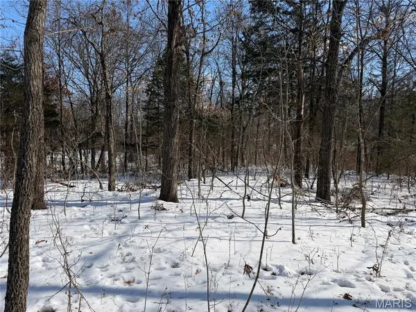 $316,250 | 0 Hoots Chapel Road, Odin, IL 62870