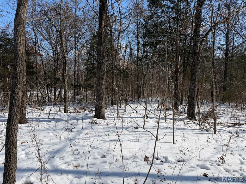 0 Hoots Chapel Road Odin, IL 62870 - Photo 30 of 42