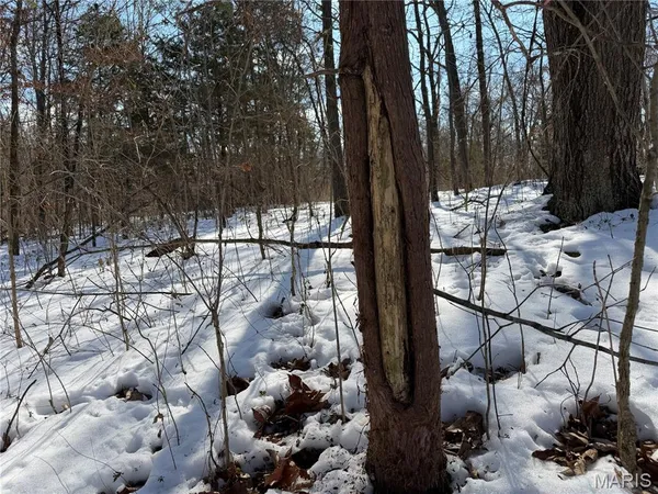 $316,250 | 0 Hoots Chapel Road, Odin, IL 62870