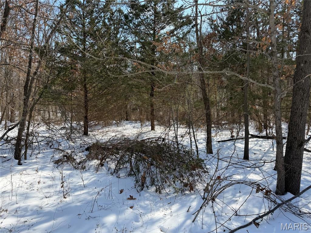 0 Hoots Chapel Road Odin, IL 62870 - Photo 32 of 42