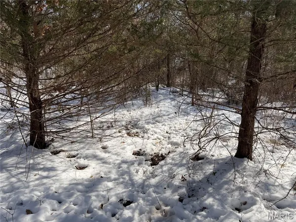 $316,250 | 0 Hoots Chapel Road, Odin, IL 62870