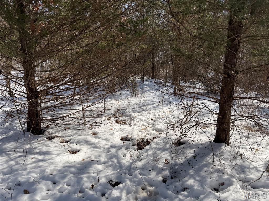 0 Hoots Chapel Road Odin, IL 62870 - Photo 33 of 42