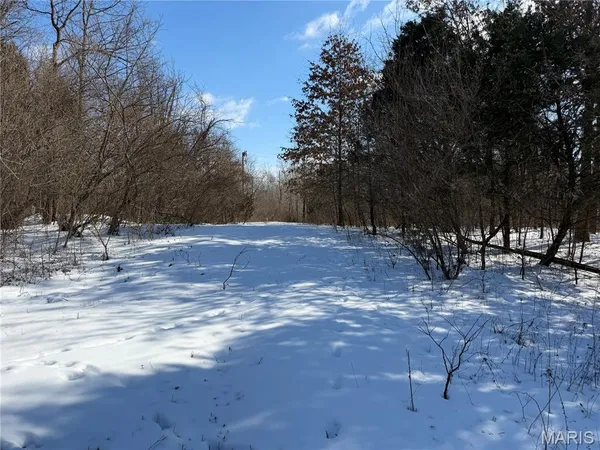 $316,250 | 0 Hoots Chapel Road, Odin, IL 62870