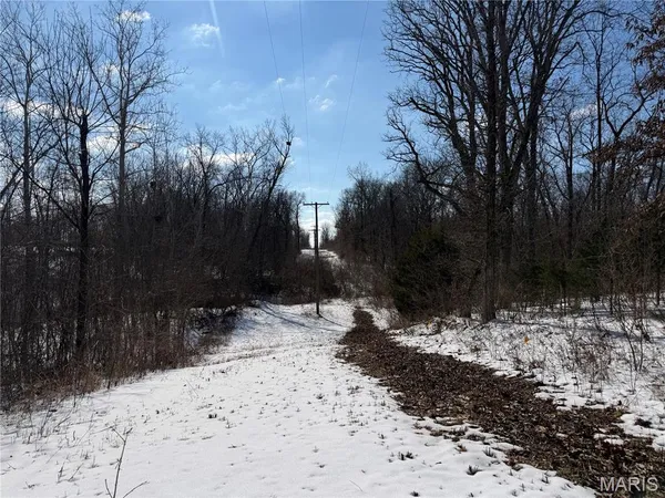 $316,250 | 0 Hoots Chapel Road, Odin, IL 62870