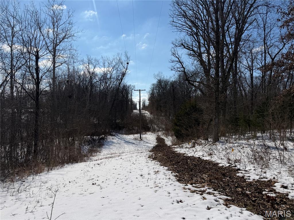 0 Hoots Chapel Road Odin, IL 62870 - Photo 35 of 42