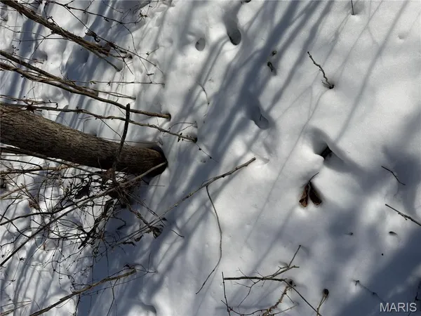 $316,250 | 0 Hoots Chapel Road, Odin, IL 62870