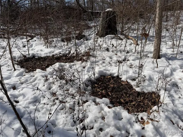 $316,250 | 0 Hoots Chapel Road, Odin, IL 62870