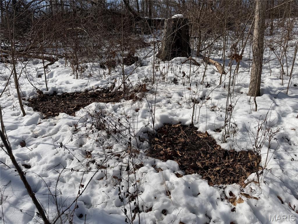 0 Hoots Chapel Road Odin, IL 62870 - Photo 37 of 42