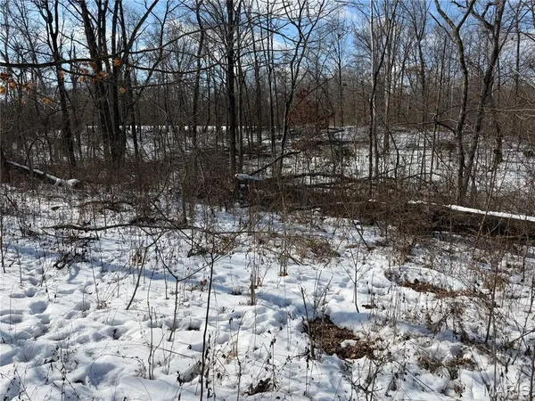 $316,250 | 0 Hoots Chapel Road, Odin, IL 62870