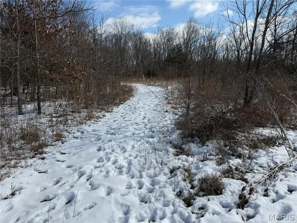 $316,250 | 0 Hoots Chapel Road, Odin, IL 62870