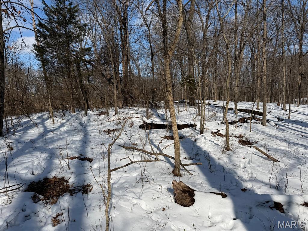 0 Hoots Chapel Road Odin, IL 62870 - Photo 40 of 42