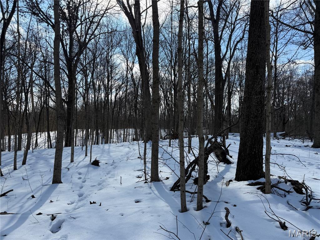 0 Hoots Chapel Road Odin, IL 62870 - Photo 41 of 42