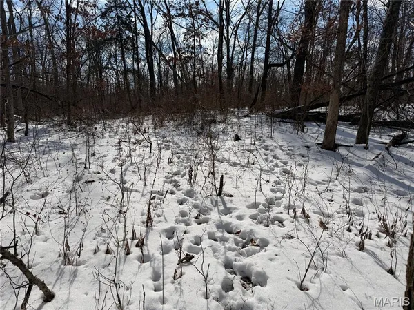 $316,250 | 0 Hoots Chapel Road, Odin, IL 62870