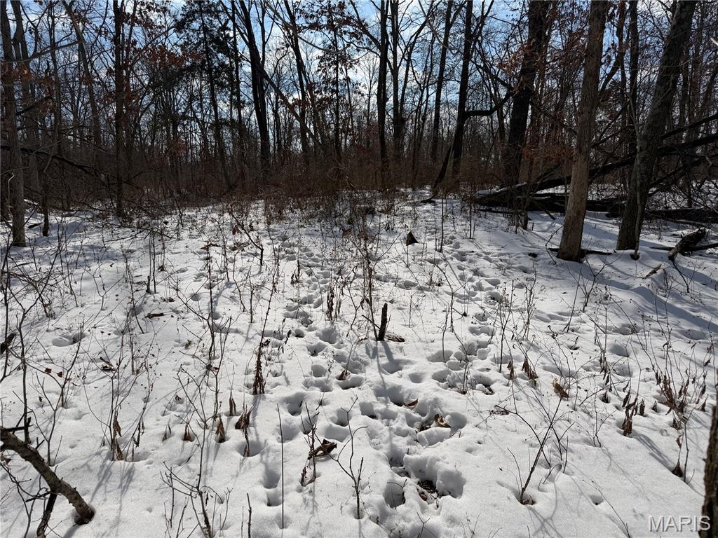 0 Hoots Chapel Road Odin, IL 62870 - Photo 42 of 42